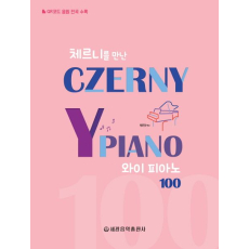 와이 피아노 100